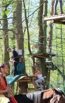 ob 5c4142 sherwood parc accrobranche robin des b (3) (1) (1)